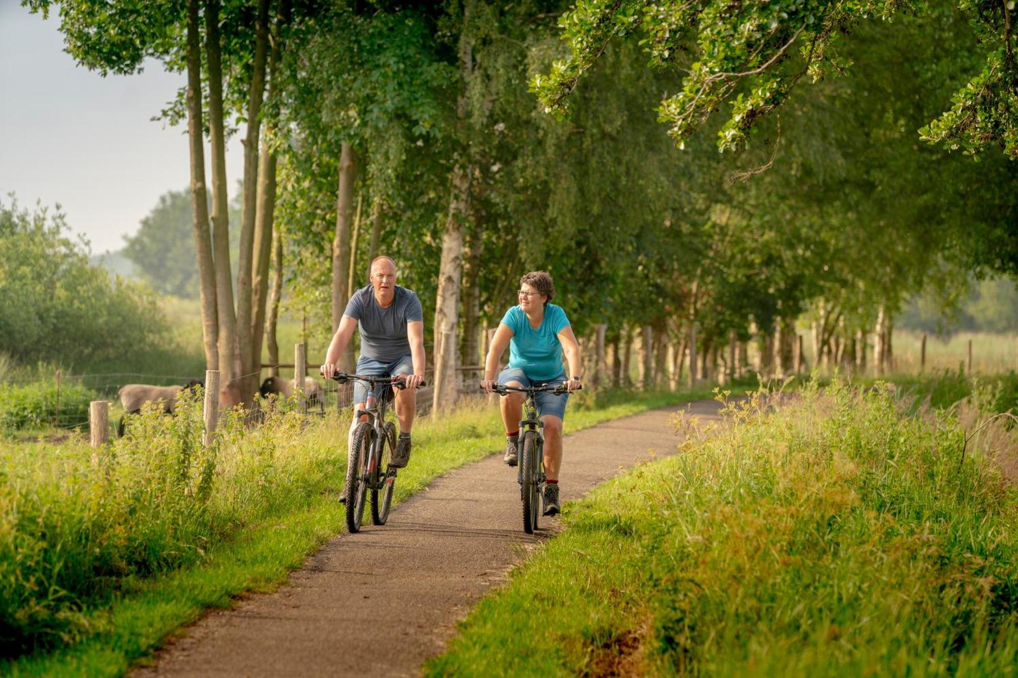 Vakantiepark Bosmeer Friesland Noordwolde  Phòng bức ảnh